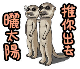 Goodman shin's Life Taiwan Zoo account sticker #14790893