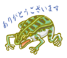 Traditional Japanese Frog sticker #14790955