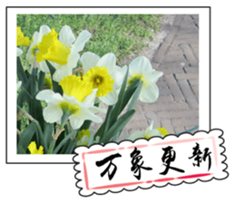 Chinese New Year greeting card2 sticker #14791182