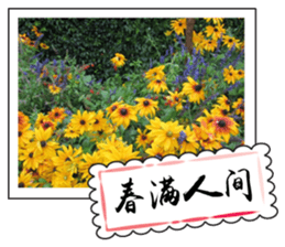 Chinese New Year greeting card2 sticker #14791189