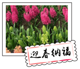 Chinese New Year greeting card2 sticker #14791192