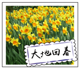 Chinese New Year greeting card2 sticker #14791196