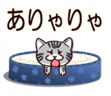 Labrador Retriever No.6 with Cat. sticker #14794464