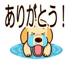 Labrador Retriever No.6 with Cat. sticker #14794472