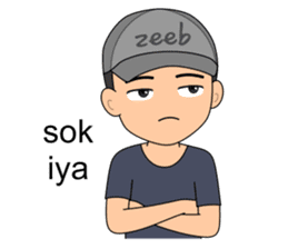 ZEEB : Anak Zeeb (Zeeblogi) sticker #14795030