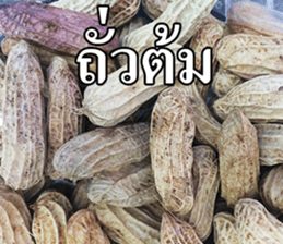 Photo Chat sticker #14796511