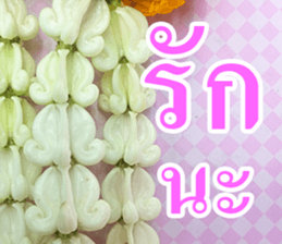 Photo Chat sticker #14796515