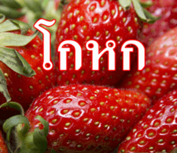 Photo Chat sticker #14796540