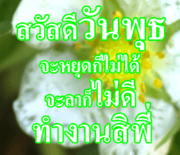 Photo Chat sticker #14796545