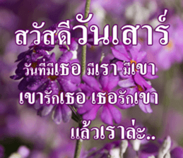 Photo Chat sticker #14796548