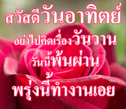 Photo Chat sticker #14796549