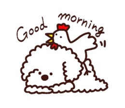 Toypoodle loafs around at home 3 sticker #14798902
