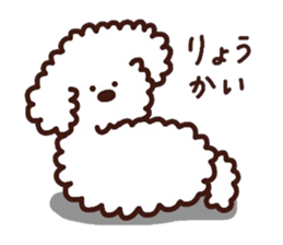 Toypoodle loafs around at home 3 sticker #14798904