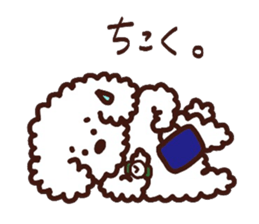 Toypoodle loafs around at home 3 sticker #14798905