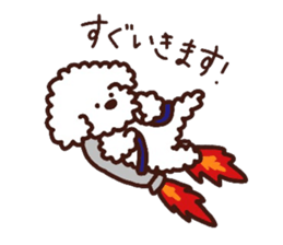 Toypoodle loafs around at home 3 sticker #14798908