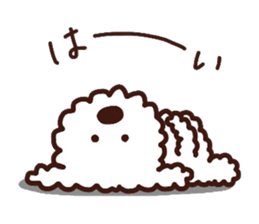 Toypoodle loafs around at home 3 sticker #14798910