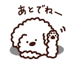 Toypoodle loafs around at home 3 sticker #14798911
