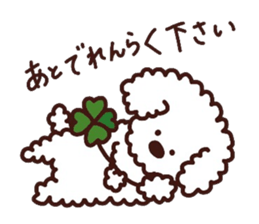 Toypoodle loafs around at home 3 sticker #14798912