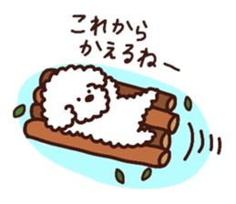 Toypoodle loafs around at home 3 sticker #14798913