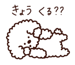 Toypoodle loafs around at home 3 sticker #14798914