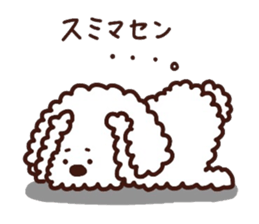 Toypoodle loafs around at home 3 sticker #14798916