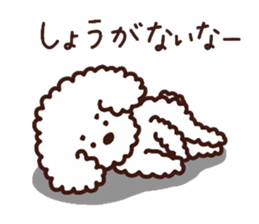Toypoodle loafs around at home 3 sticker #14798918