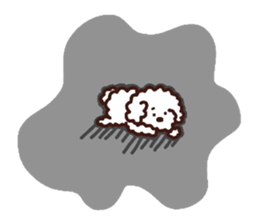 Toypoodle loafs around at home 3 sticker #14798920