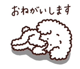 Toypoodle loafs around at home 3 sticker #14798925