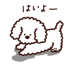 Toypoodle loafs around at home 3 sticker #14798927