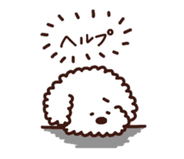 Toypoodle loafs around at home 3 sticker #14798930