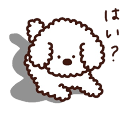 Toypoodle loafs around at home 3 sticker #14798931
