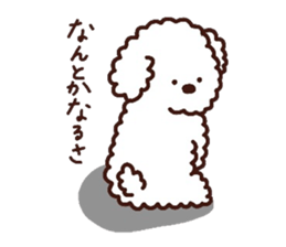 Toypoodle loafs around at home 3 sticker #14798933