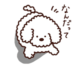 Toypoodle loafs around at home 3 sticker #14798935