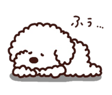 Toypoodle loafs around at home 3 sticker #14798936