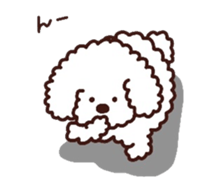 Toypoodle loafs around at home 3 sticker #14798937
