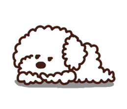Toypoodle loafs around at home 3 sticker #14798940