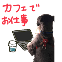 my schnauzer's sticker sticker #14801603