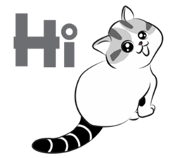Platoo funny cat sticker #14802374