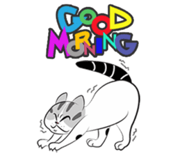 Platoo funny cat sticker #14802376