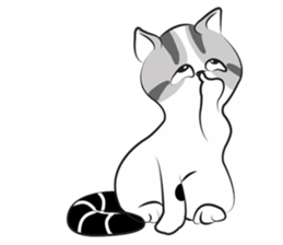 Platoo funny cat sticker #14802382