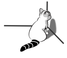 Platoo funny cat sticker #14802383