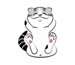 Platoo funny cat sticker #14802384