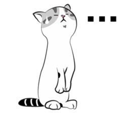 Platoo funny cat sticker #14802385
