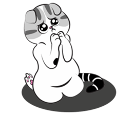 Platoo funny cat sticker #14802390