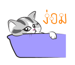 Platoo funny cat sticker #14802397