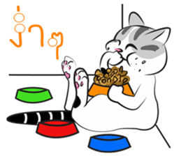 Platoo funny cat sticker #14802398