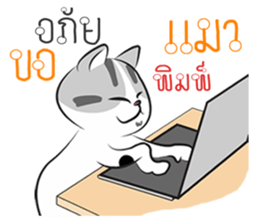 Platoo funny cat sticker #14802400