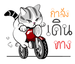 Platoo funny cat sticker #14802402