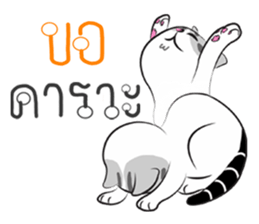 Platoo funny cat sticker #14802403