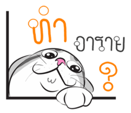 Platoo funny cat sticker #14802404